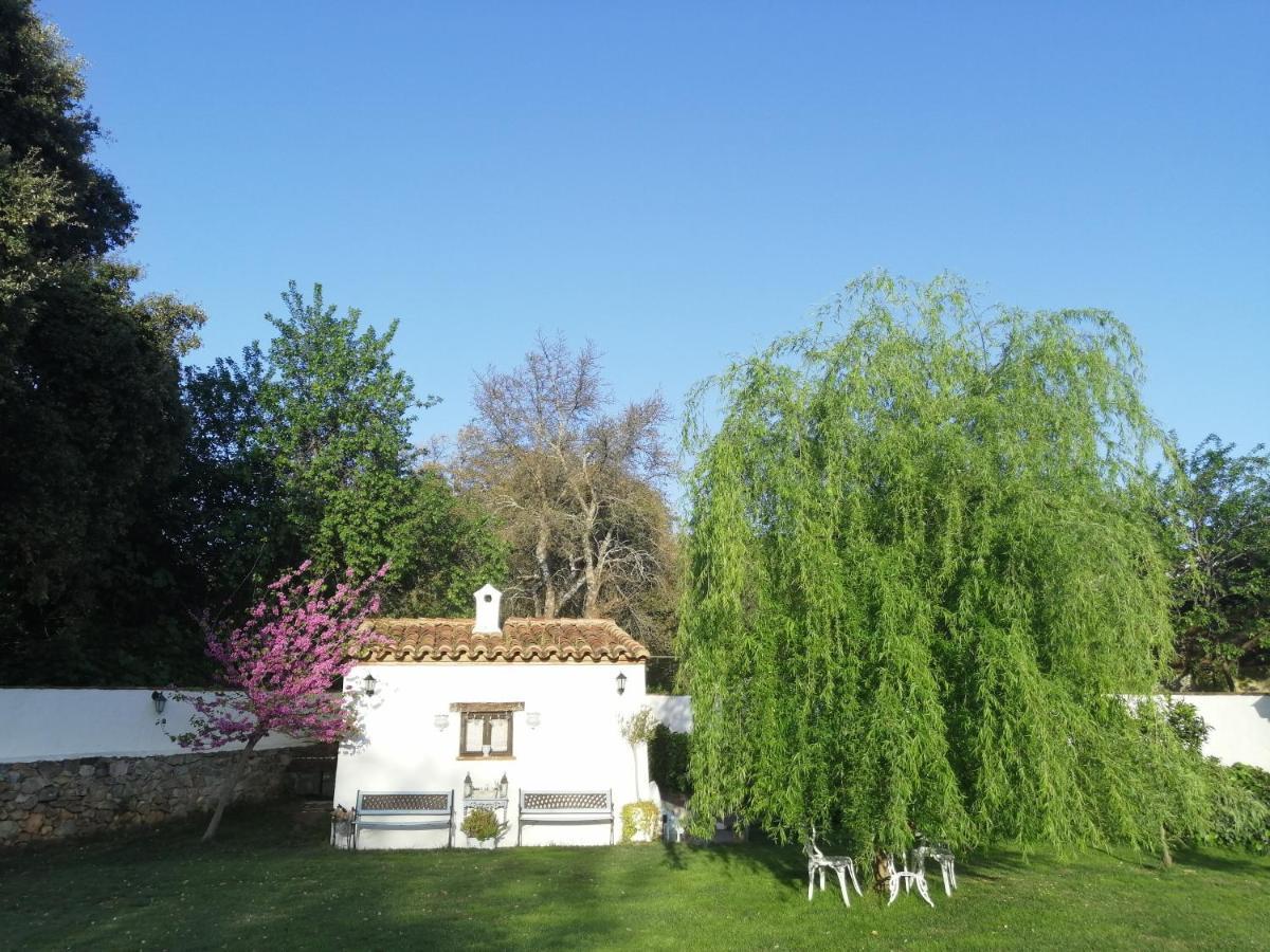 Casona Del Duende Guest House Alájar Eksteriør bilde